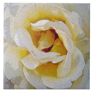 shades of white to yellow ceramic tile