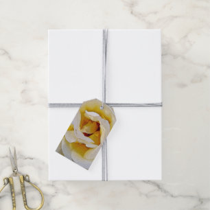 shades of white to yellow gift tags