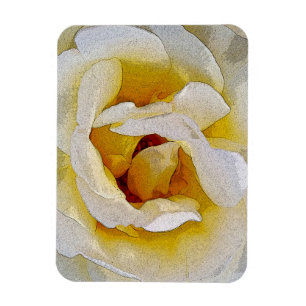 shades of white to yellow magnet