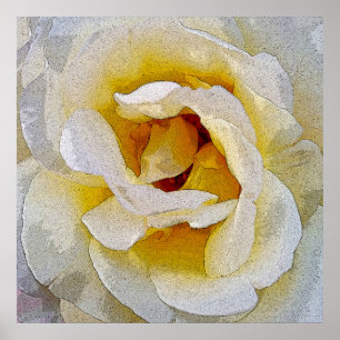 shades of white to yellow poster