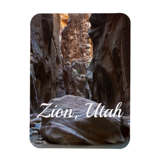 Shadow and light in the Narrows Magnet (Vertical)