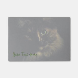 Shadow Cat Art Photography Green Eyes Kitty Post-it Notes