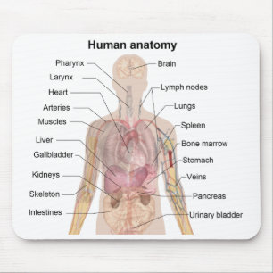 Shadow Diagram of the Human Anatomy Mouse Pad