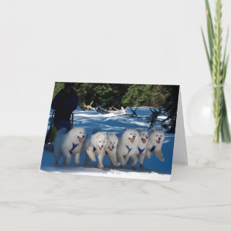 "Shadow Fan" Greeting Card