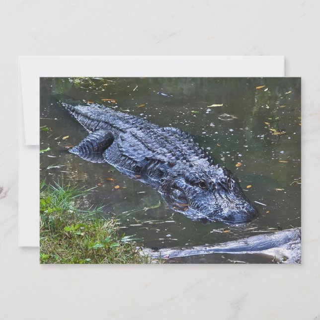 Shadow in the Shallows Card (Front)