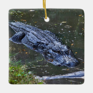 Shadow in the Shallows Ceramic Ornament