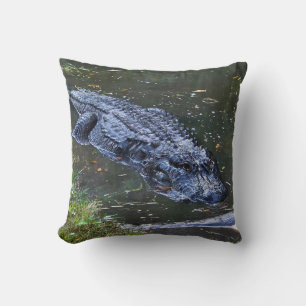 Shadow in the Shallows Cushion
