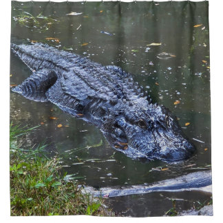 Shadow in the Shallows Shower Curtain