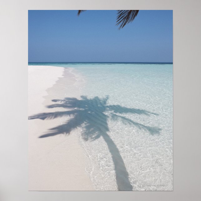 Shadow of a palm tree on a deserted island beach poster (Front)