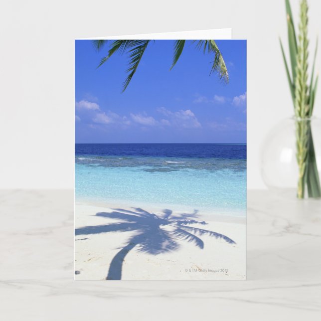 Shadow of Palm Tree Card (Front)