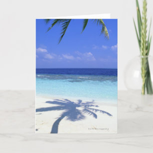 Shadow of Palm Tree Card