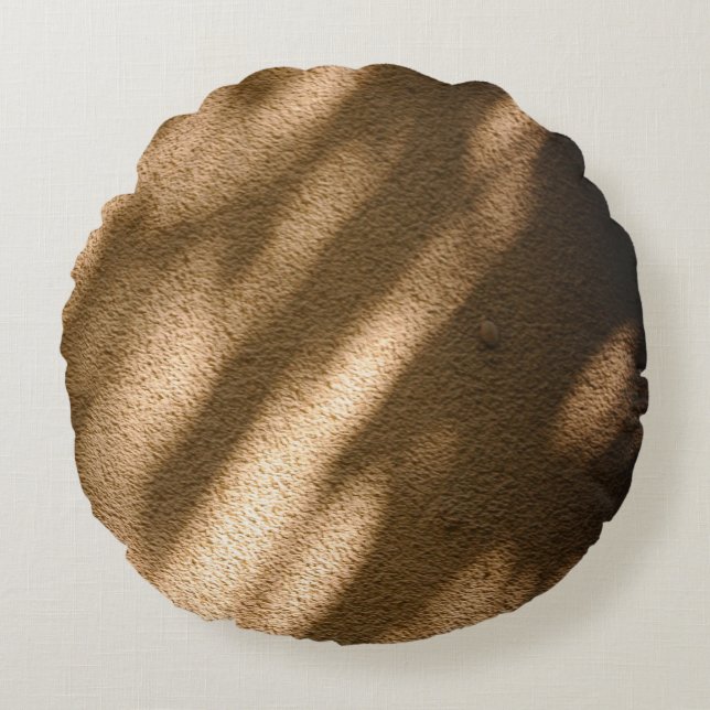 Shadow on brown carpeted floor round cushion (Front)