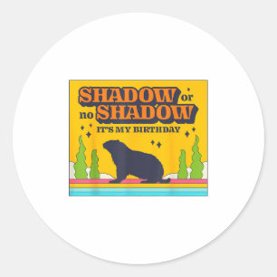 Shadow Or No Shadow Its My Birthday Party Retro Su Classic Round Sticker
