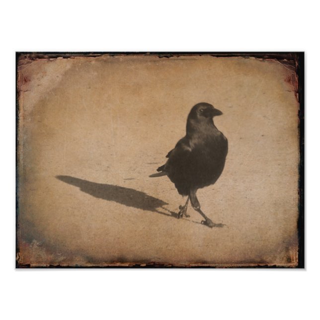 Shadow Photo Print (Front)