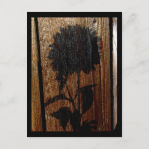 shadow postcard