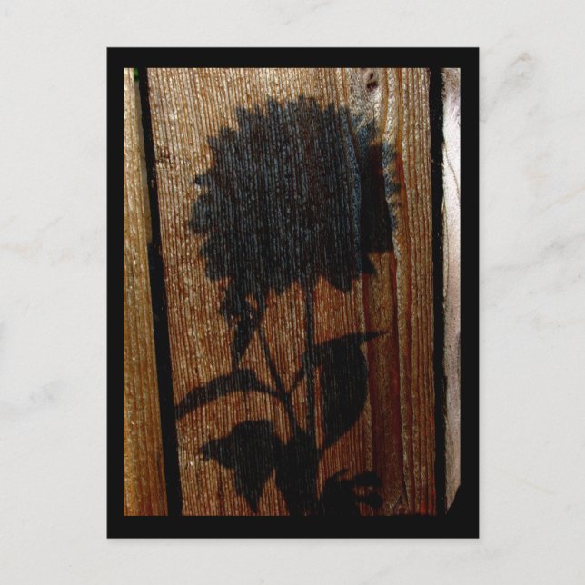 shadow postcard (Front)