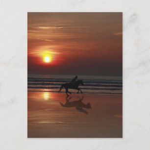 shadow racing postcard