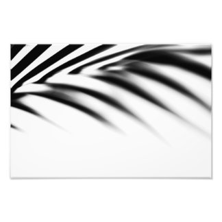 Shadow Zen. Palm Leaf. Monochrome Photo Print