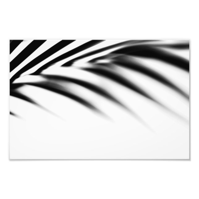 Shadow Zen. Palm Leaf. Monochrome Photo Print (Front)