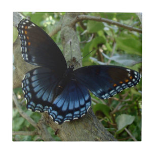 Shadowed Blue Butterfly Ceramic Tile