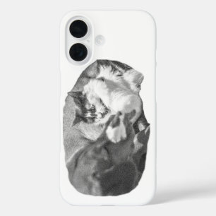 Shadowed Porch Companions iPhone 16 Case