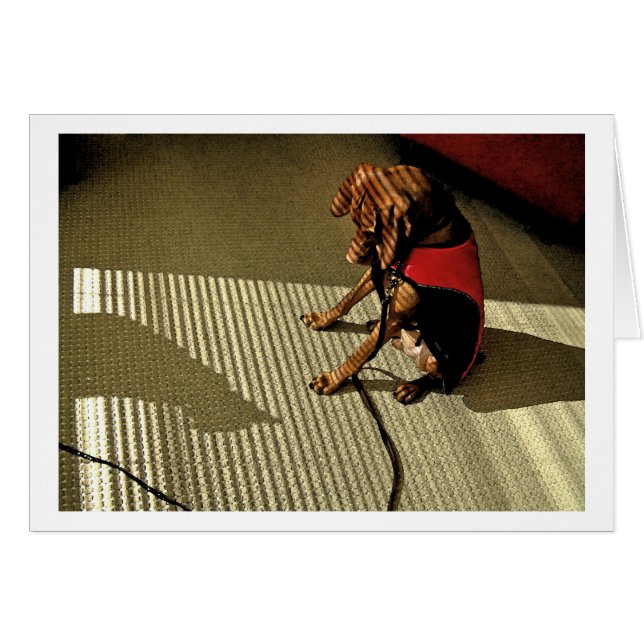 Shadowplay 1 (Front Horizontal)