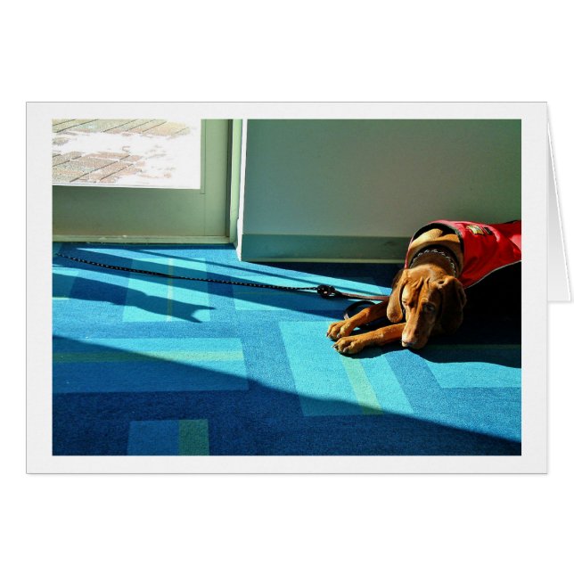 Shadowplay 2 (Front Horizontal)