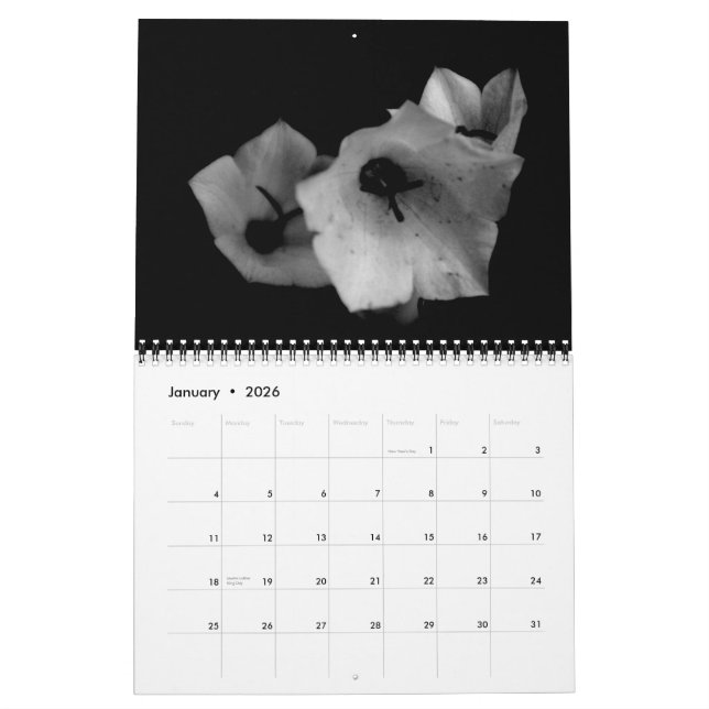 Shadows Calendar (Jan 2026)