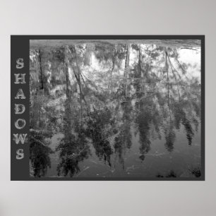 SHADOWS Poster