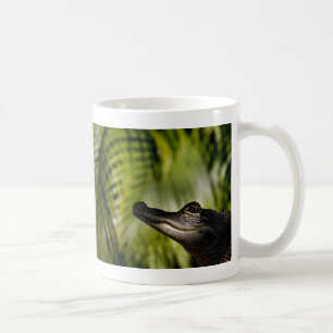 Shady Alligator mug