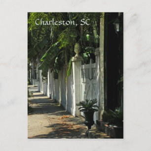Shady Charleston Post Card