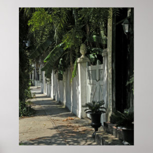 Shady Charleston Walk Poster