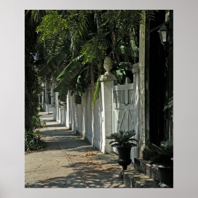 Shady Charleston Walk Poster (Front)