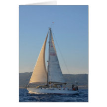 Shady Lady In The Early Morning