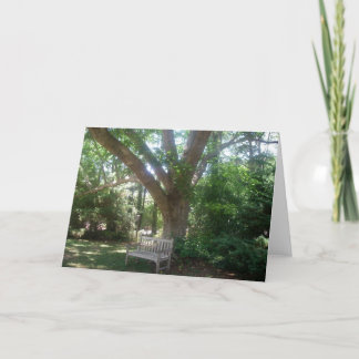 Shady Place to Relax Greeting Card