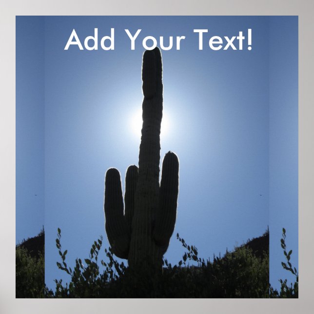 Shady Saguaro Poster (Front)