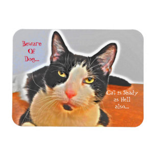 Shady Tuxedo Cat Magnet
