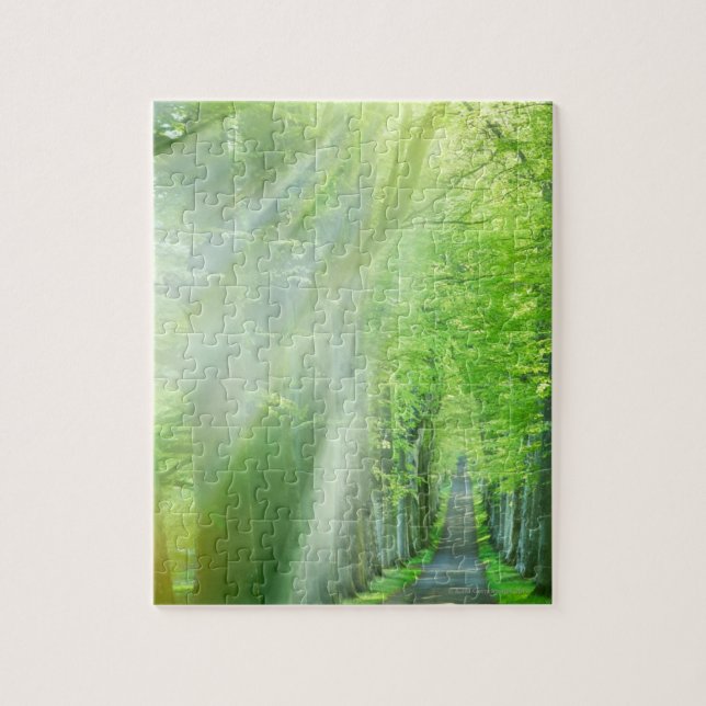Shafts of Sunlight Jigsaw Puzzle (Vertical)