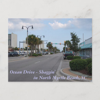 Shaggin on Ocean Drive Postcard
