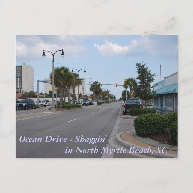 Shaggin on Ocean Drive Postcard (Front)
