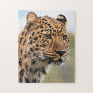 Shaggy Adult Cheetah in the Wild Jigsaw Puzzle