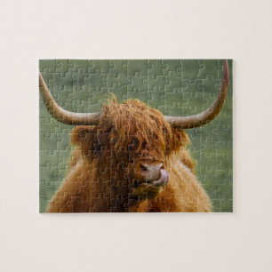 Shaggy Haired Scottish Highland Cow Nature Animal Jigsaw Puzzle