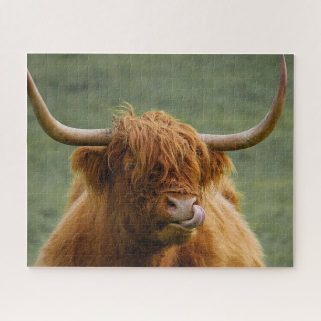 Shaggy Haired Scottish Highland Cow Nature Animal Jigsaw Puzzle (Horizontal)