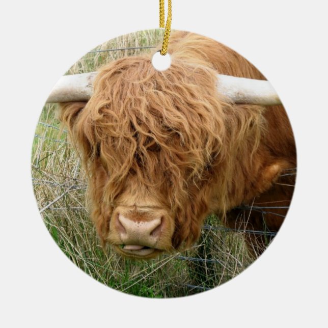 Shaggy Highland Cow Ceramic Ornament (Front)