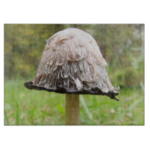 Shaggy Ink Cap Mushroom Glass Chopping Board
