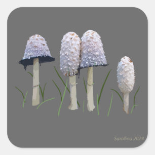 Shaggy Mane Coprinus comatus Square Sticker