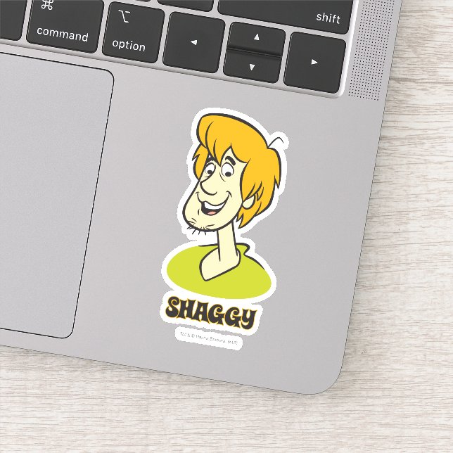 Shaggy Name Graphic (Detail)