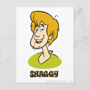 Shaggy Name Graphic Postcard