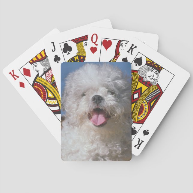 Shaggy Poodle Dog Playing Cards (Back)