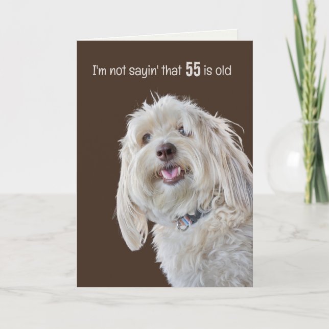 Shaggy Poodle for 55th Birthday Humour Card (Front)